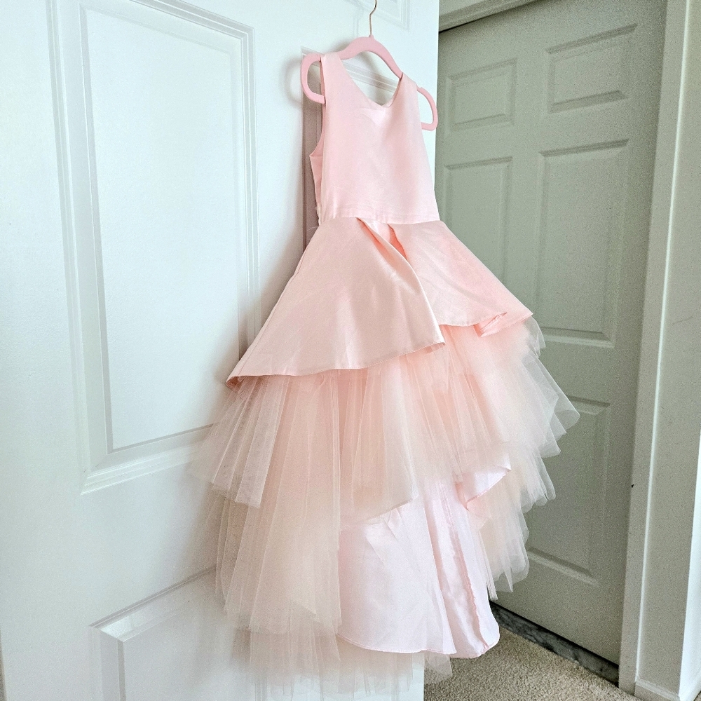 Elegant Couture Pink Layered Tulle Dress